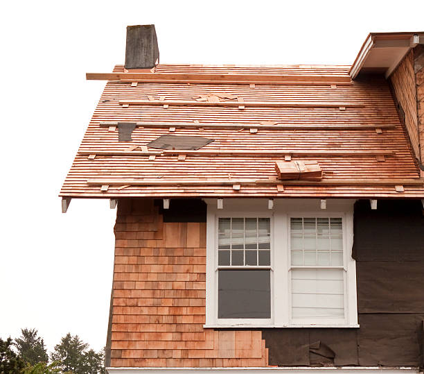 Best Vinyl Siding Installation  in Avondale, PA